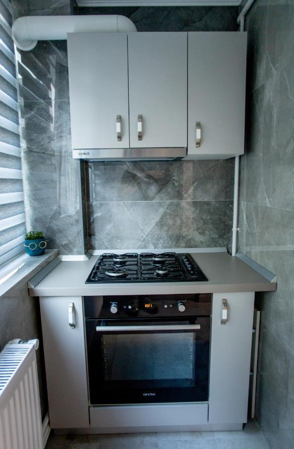 Loghin Residence Suceava Ngoại thất bức ảnh